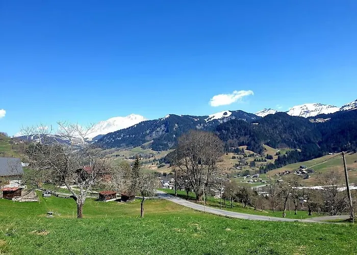 Duplex 26m2 A La Montagne * Praz-sur-Arly