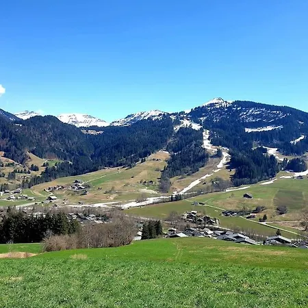 Duplex 26m2 A La Montagne Praz-sur-Arly